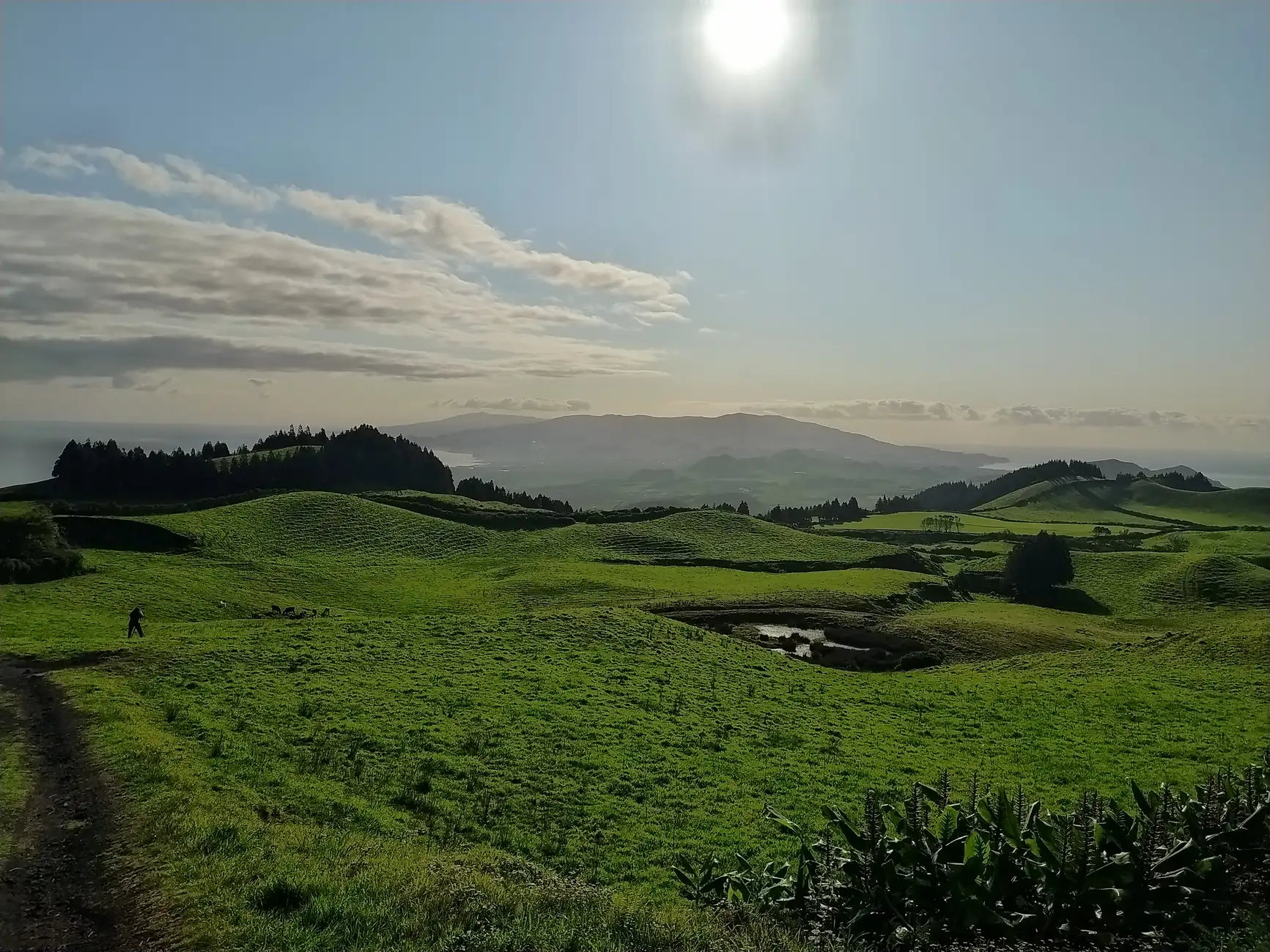 Ponta Delgada: Sete Cidades & Lagoa do Fogo Tour with Lunch