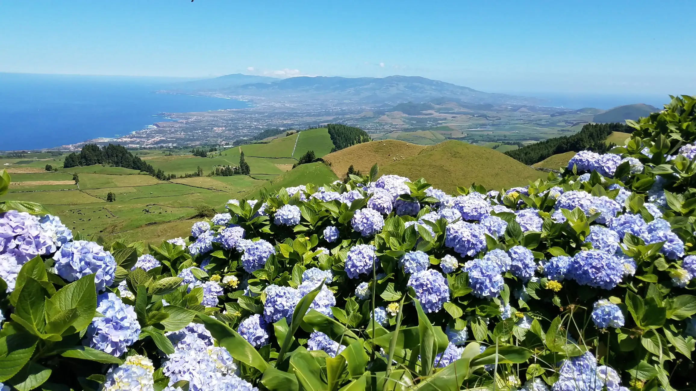 São Miguel: Sete Cidades and Lagoa do Fogo Full-Day Tour