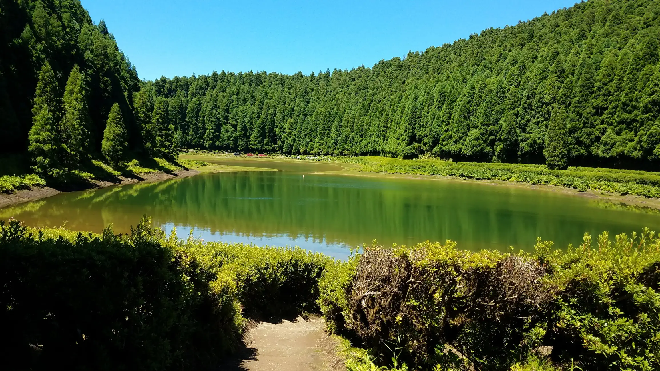 São Miguel: Sete Cidades and Lagoa do Fogo Full-Day Tour