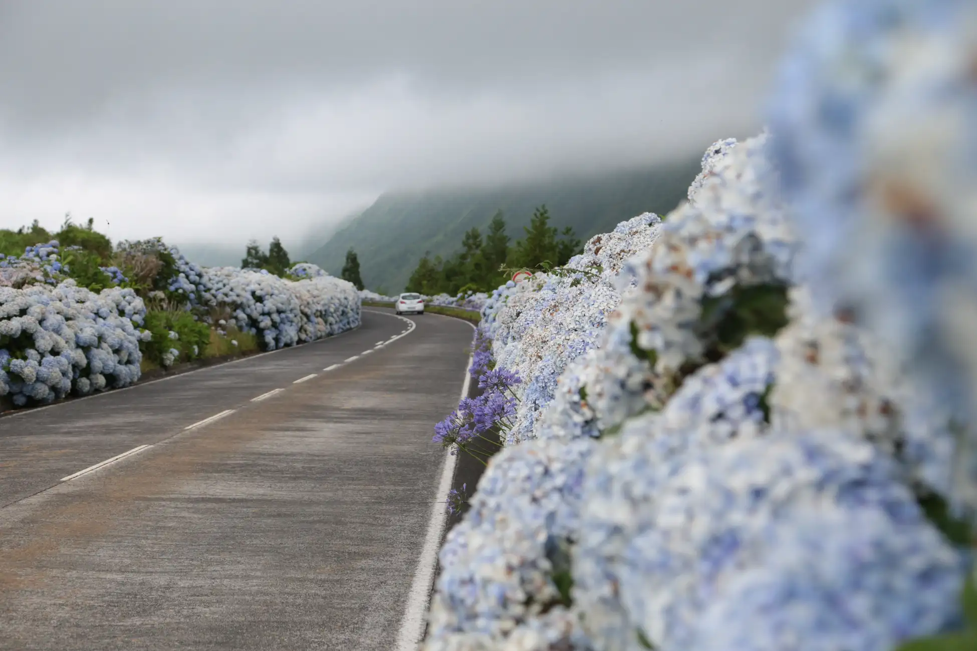 São Miguel West: Sete Cidades and Fogo Tour with Lunch